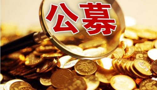 公募证券(证据证券包括哪些)