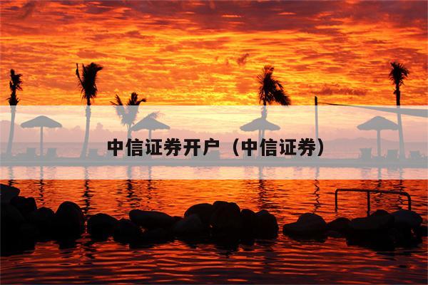 中信投资证券(中信证券 投资)