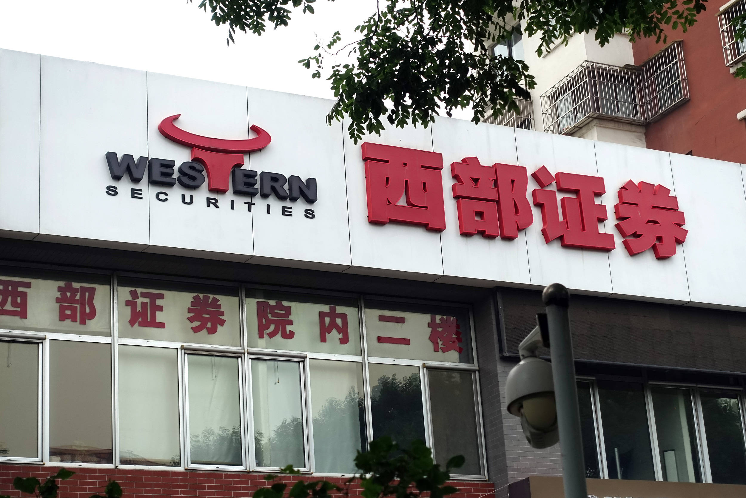 西部证券金鼎智赢(西部证券金鼎智赢怎么添加自选股)